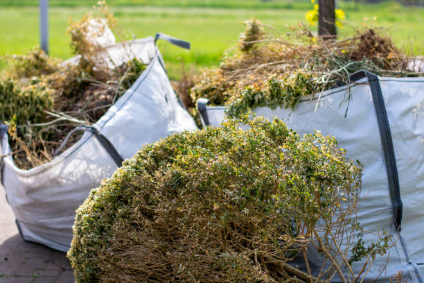 Best Trash Removal Near Me  in Long Beach, IN